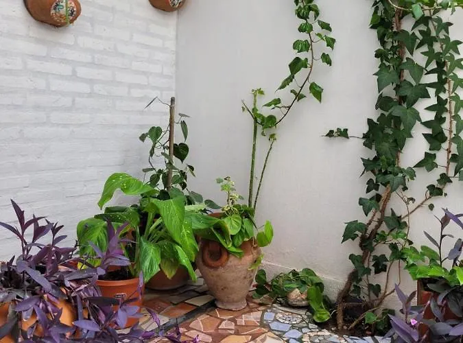 Perfecto Espacio